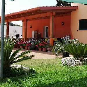Agriturismo Il Pavone